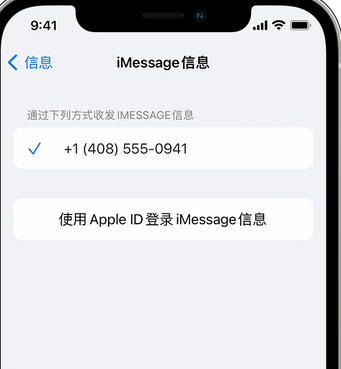 天门apple维修iPhone上无法正常发送iMessage信息 