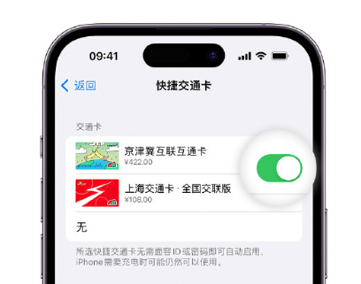 天门apple维修点分享iPhone上更换Apple Pay快捷交通卡手绘卡面 