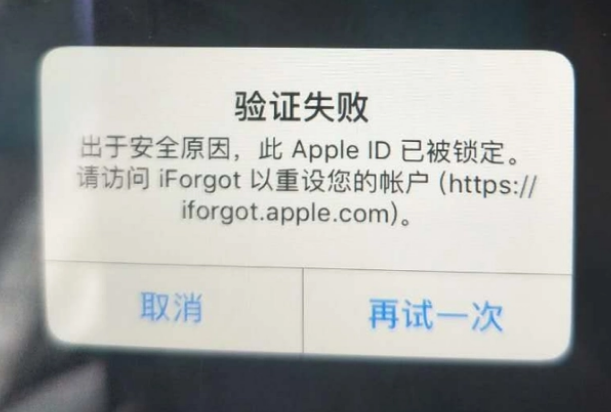 天门iPhone维修分享iPhone上正常登录或使用AppleID怎么办 