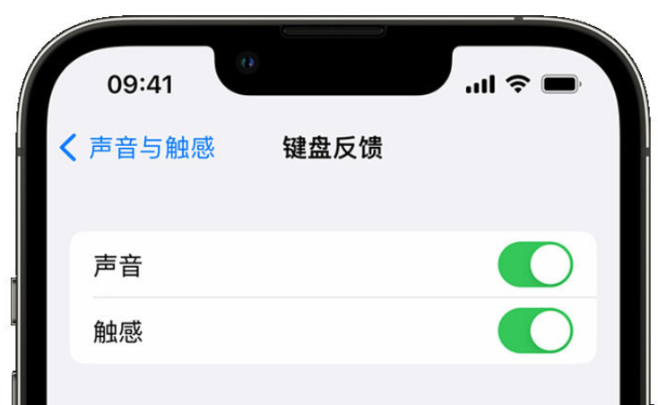 天门苹果手机维修分享iPhone 14触感键盘使用方法 