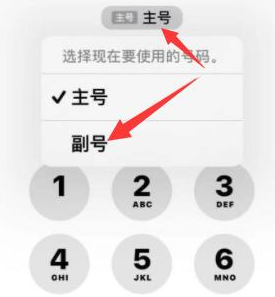 天门苹果14维修店分享iPhone 14 Pro Max使用副卡打电话的方法 