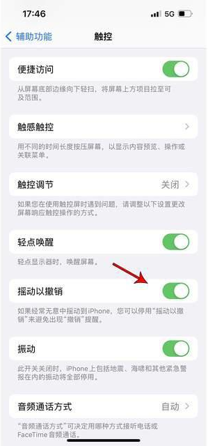 天门苹果手机维修分享iPhone手机如何设置摇一摇删除文字 