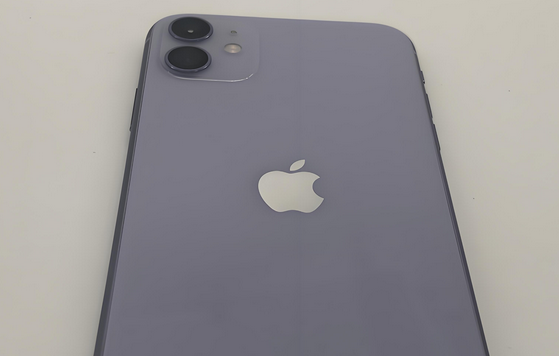 天门苹果11系统维修分享iPhone11手机系统崩溃无法开机如何解决 